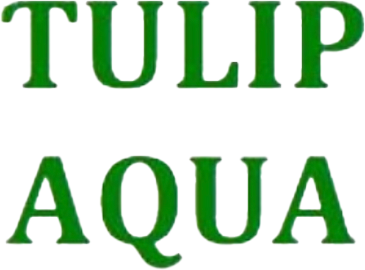 Tulip Aqua